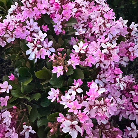 Meet your Posher, Ekaterina - Picture 1 of 1